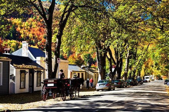 Park To Mountains Apartment Arrowtown Ngoại thất bức ảnh
